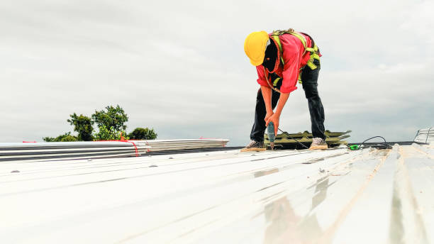 Skylights in Wayne, OH