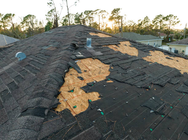 Best Asphalt Shingle Roofing  in Wayne, OH