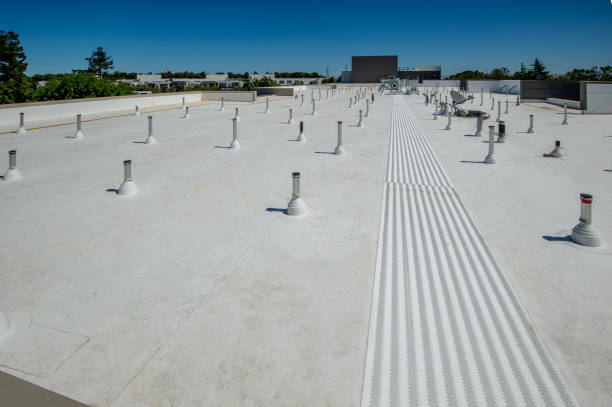 Best Sheet Metal Roofing  in Wayne, OH